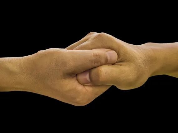 كازينو ستيك 7 الدعم